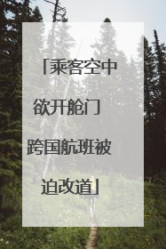乘客空中欲开舱门 跨国航班被迫改道
