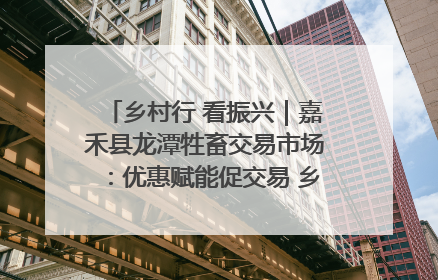 乡村行 看振兴｜嘉禾县龙潭牲畜交易市场：优惠赋能促交易 乡村振兴添动能