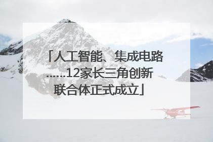 人工智能、集成电路……12家长三角创新联合体正式成立