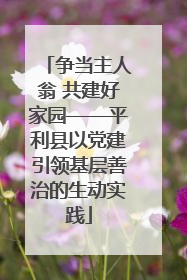 争当主人翁 共建好家园——平利县以党建引领基层善治的生动实践