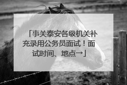 事关泰安各级机关补充录用公务员面试！面试时间、地点→