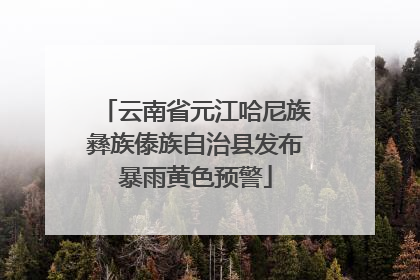云南省元江哈尼族彝族傣族自治县发布暴雨黄色预警