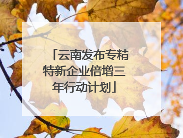 云南发布专精特新企业倍增三年行动计划