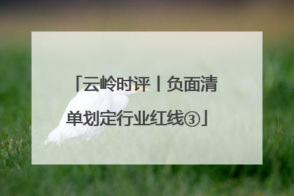 云岭时评丨负面清单划定行业红线③
