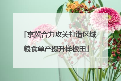 京冀合力攻关打造区域粮食单产提升样板田