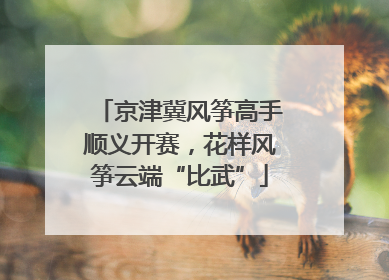 京津冀风筝高手顺义开赛，花样风筝云端“比武”