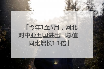 今年1至5月，河北对中亚五国进出口总值同比增长1.1倍