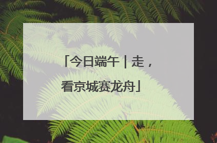 今日端午｜走，看京城赛龙舟
