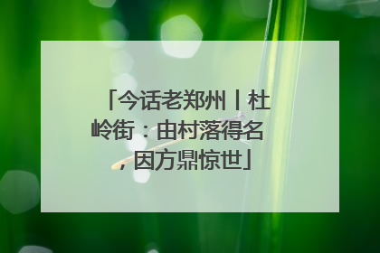 今话老郑州丨杜岭街：由村落得名，因方鼎惊世