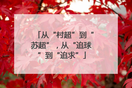 从“村超”到“苏超”，从“追球”到“追求”