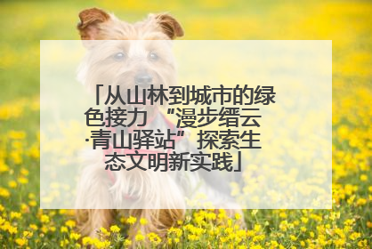 从山林到城市的绿色接力 “漫步缙云·青山驿站”探索生态文明新实践