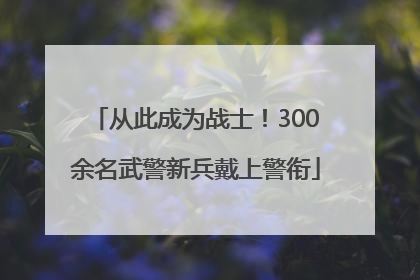 从此成为战士！300余名武警新兵戴上警衔