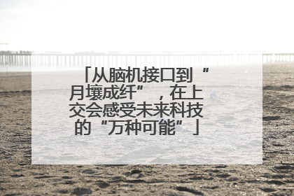 从脑机接口到“月壤成纤”，在上交会感受未来科技的“万种可能”