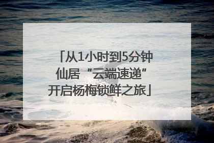 从1小时到5分钟 仙居“云端速递”开启杨梅锁鲜之旅