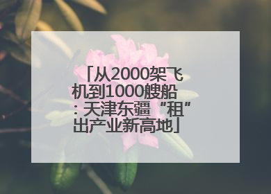 从2000架飞机到1000艘船：天津东疆“租”出产业新高地