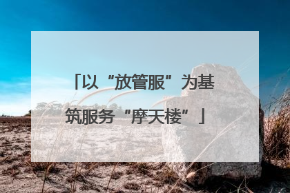 以“放管服”为基筑服务“摩天楼”