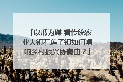 以瓜为媒 看传统农业大镇石莲子镇如何唱响乡村振兴协奏曲？