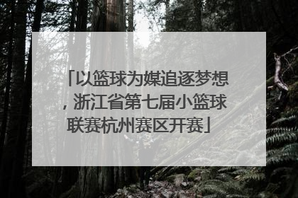 以篮球为媒追逐梦想，浙江省第七届小篮球联赛杭州赛区开赛