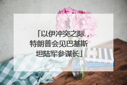 以伊冲突之际，特朗普会见巴基斯坦陆军参谋长