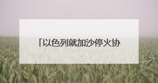 以色列就加沙停火协议草案作出新回应