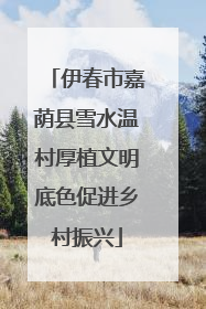 伊春市嘉荫县雪水温村厚植文明底色促进乡村振兴