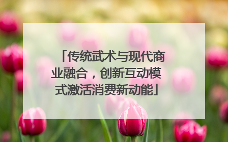 传统武术与现代商业融合，创新互动模式激活消费新动能
