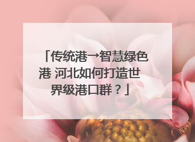 传统港→智慧绿色港 河北如何打造世界级港口群？