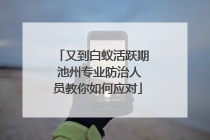 又到白蚁活跃期 池州专业防治人员教你如何应对