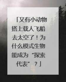 又有小动物搭上载人飞船去太空了！为什么模式生物能成为“探索代表”？