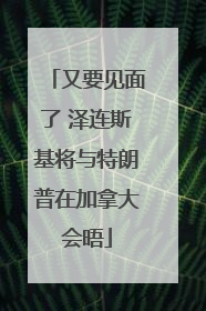 又要见面了 泽连斯基将与特朗普在加拿大会晤