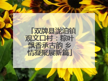 双牌县泷泊镇观文口村：粽叶飘香承古韵 乡情凝聚展新篇