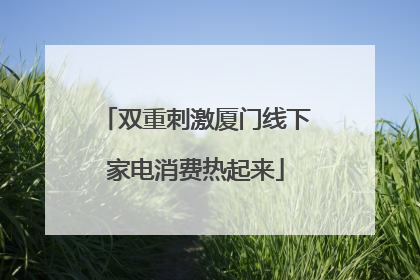 双重刺激厦门线下家电消费热起来