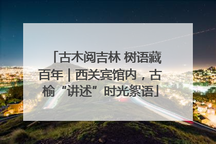 古木阅吉林 树语藏百年｜西关宾馆内，古榆“讲述”时光絮语