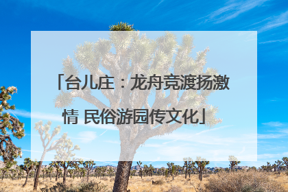 台儿庄：龙舟竞渡扬激情 民俗游园传文化