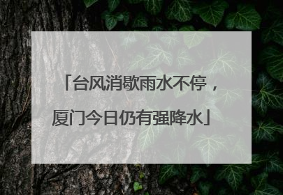 台风消歇雨水不停，厦门今日仍有强降水