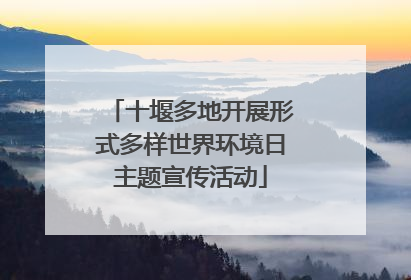 十堰多地开展形式多样世界环境日主题宣传活动