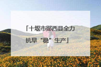 十堰市郧西县全力抗旱“稳”生产
