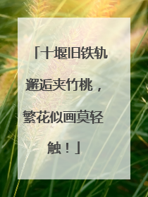 十堰旧铁轨邂逅夹竹桃，繁花似画莫轻触！