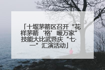 十堰茅箭区召开“花样茅箭‘格’暖万家”技能大比武暨庆“七·一”汇演活动