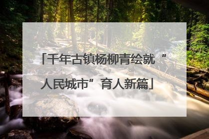 千年古镇杨柳青绘就“人民城市”育人新篇