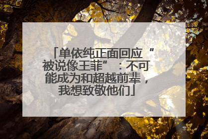 单依纯正面回应“被说像王菲”：不可能成为和超越前辈，我想致敬他们