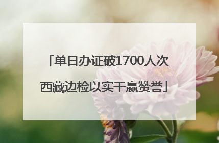 单日办证破1700人次 西藏边检以实干赢赞誉