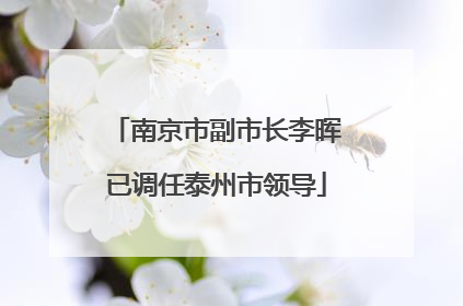 南京市副市长李晖已调任泰州市领导