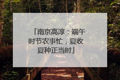 南京高淳：端午时节农事忙，夏收夏种正当时