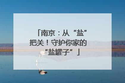 南京：从“盐”把关！守护你家的“盐罐子”