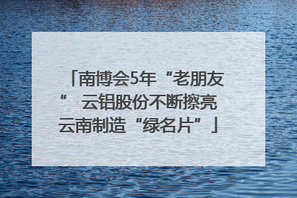 南博会5年“老朋友” 云铝股份不断擦亮云南制造“绿名片”