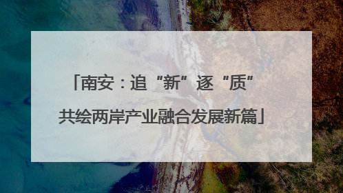 南安：追“新”逐“质” 共绘两岸产业融合发展新篇