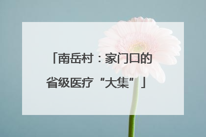 南岳村：家门口的省级医疗“大集”