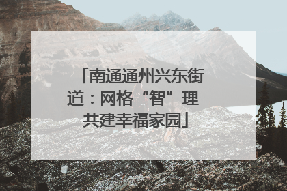 南通通州兴东街道：网格“智”理 共建幸福家园