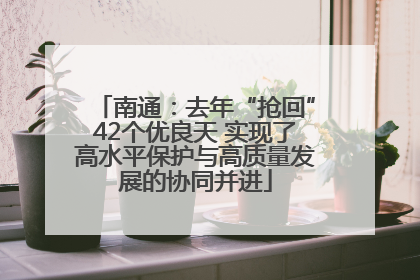 南通：去年“抢回”42个优良天 实现了高水平保护与高质量发展的协同并进